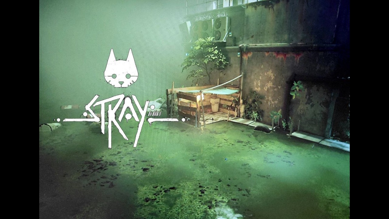 Stray проходження #4