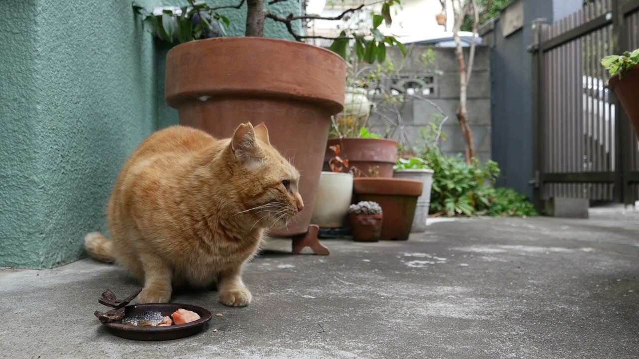 2026年02月27日07時32分