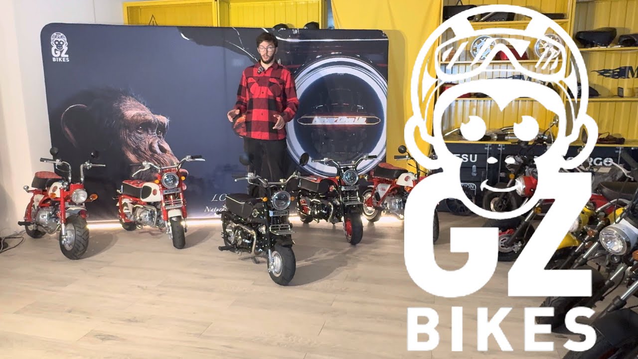 MINIBIKE- Detaillierte Vorstellung der GZ BIKES
