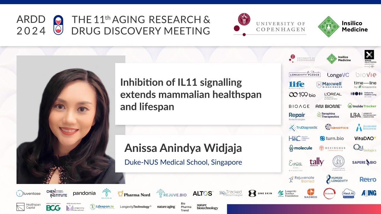 Anissa Anindya Widjaja at ARDD2024: Inhibition of IL11 signalling ... healthspan and lifespan