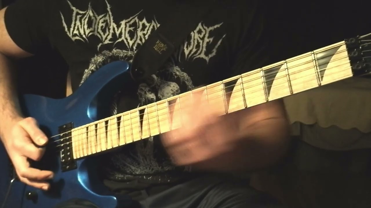 Pantera - Domination (Guitar Cover with Solo)