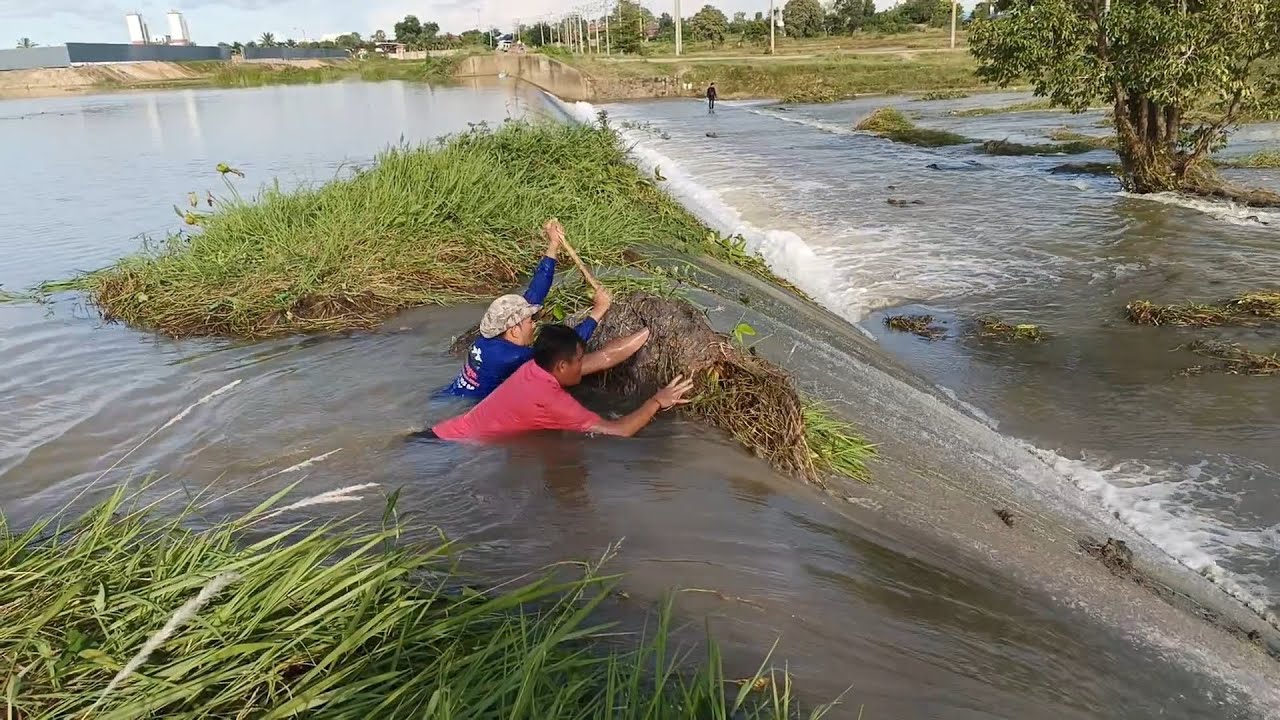 Looking So Easy But No Easy, Hard Work To Remove Floating Plants Clogged On Massive Dam