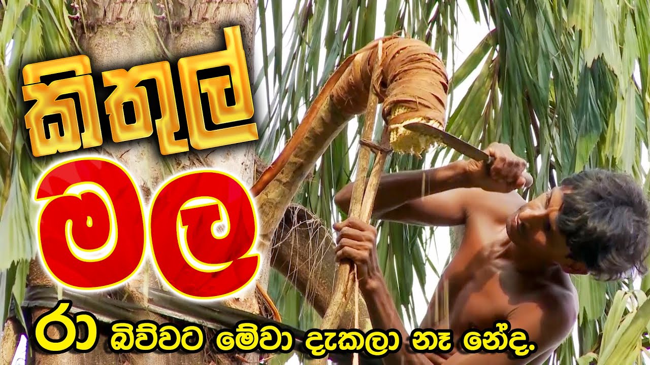 කිතුල් කර්මාන්තය | සොබාදහම මතු පරපුරට |  Sri Lankan culture Documentary