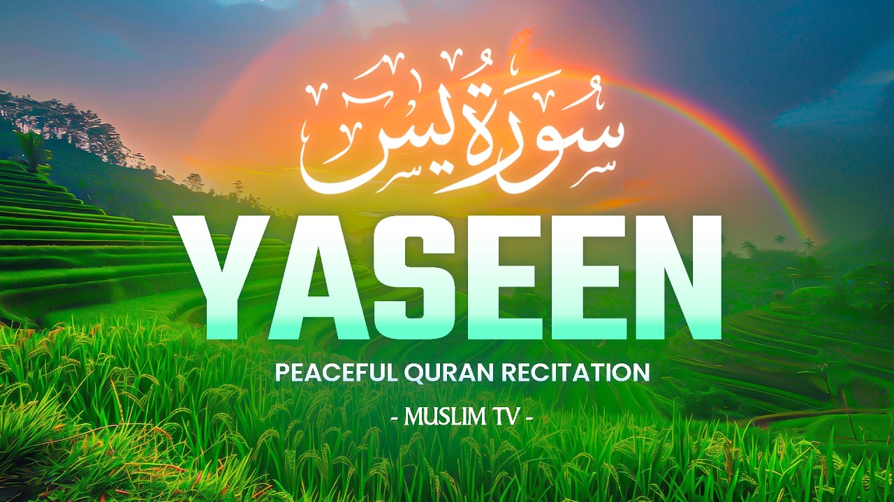Surah Yaseen سورة يس | Calming Quranic Recitation for Rest, Relief & Peace of Soul | Muslim TV