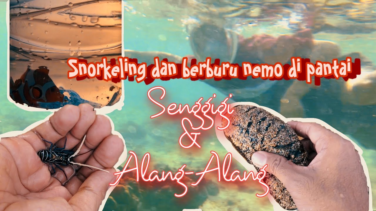 Snorkeling di Pantai Dapat Ikan NEMO !!!