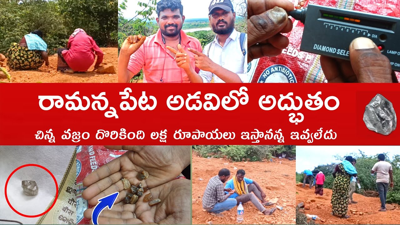వజ్రాలు దొరుకుతున్న ఏరియా|gudimetla diamonds|gudimetla | diamond hunting| @5Star_Praveen