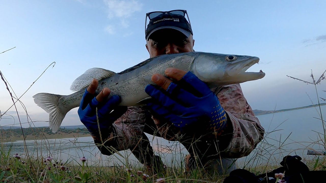 BIG ZANDER FISHING, CATCH AND RELEASE