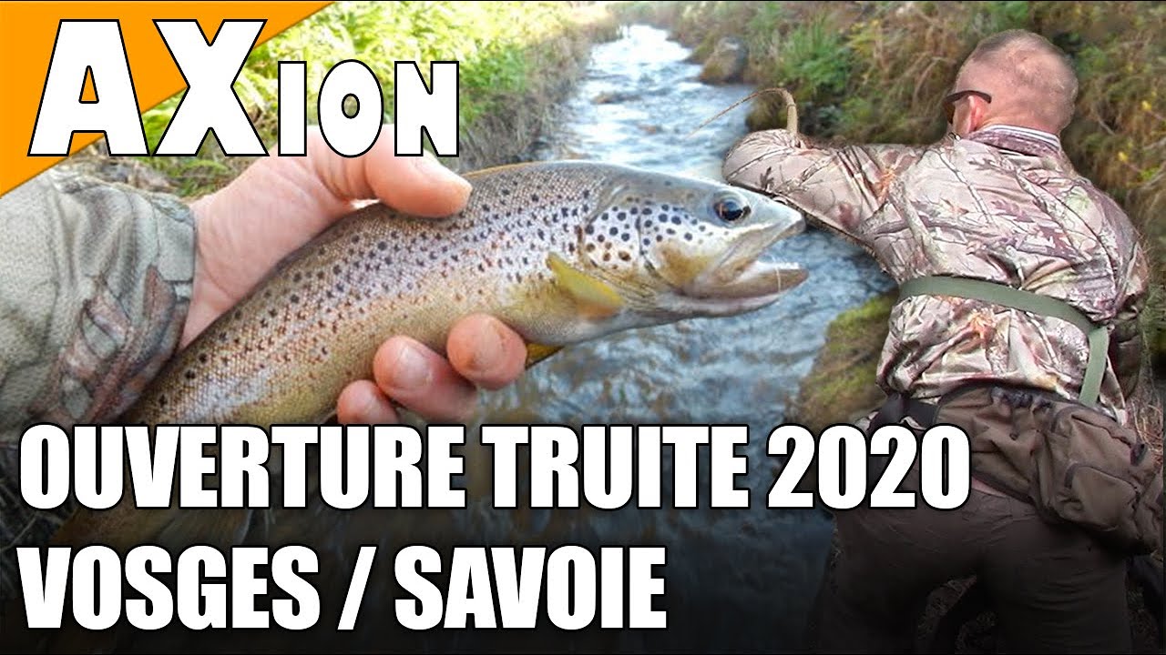 🎣 Ouverture TRUITE 2020 Vosges / Savoie : C'est pas les m&ecirc;mes poissons ! - AXion 13