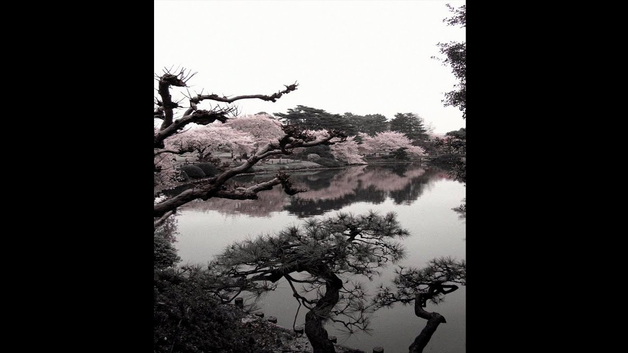 untiljapan clams casino whit type beat - NEVER ENOUGH