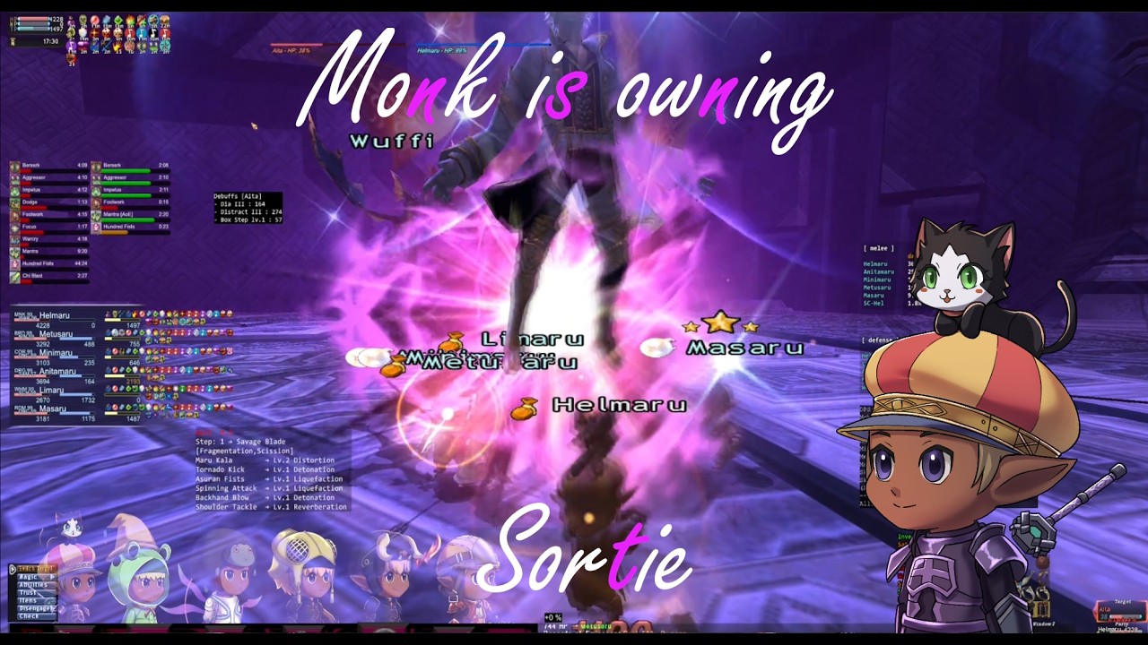 Multiboxing FFXI - Monk is owning Sortie!
