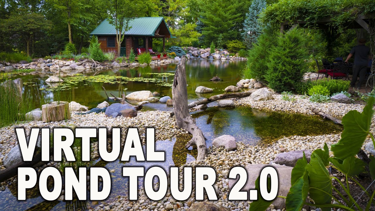 Brian's *FAVORITE KOI POND*: Pond Tour Part 2