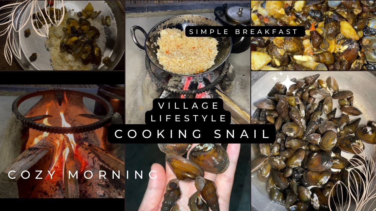 Snail uthake pakaya aaj//Simple breakfast//village life#northeastindia 