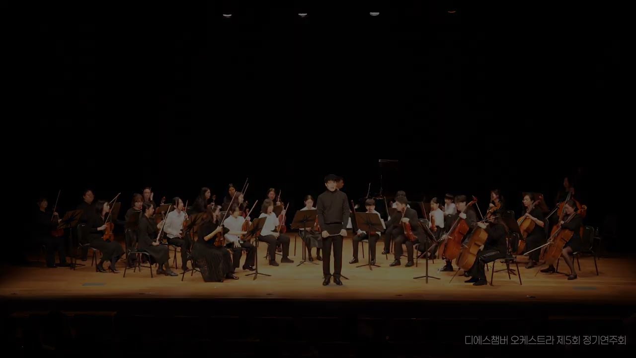The Phantom of the opera OST  | DS Chamber