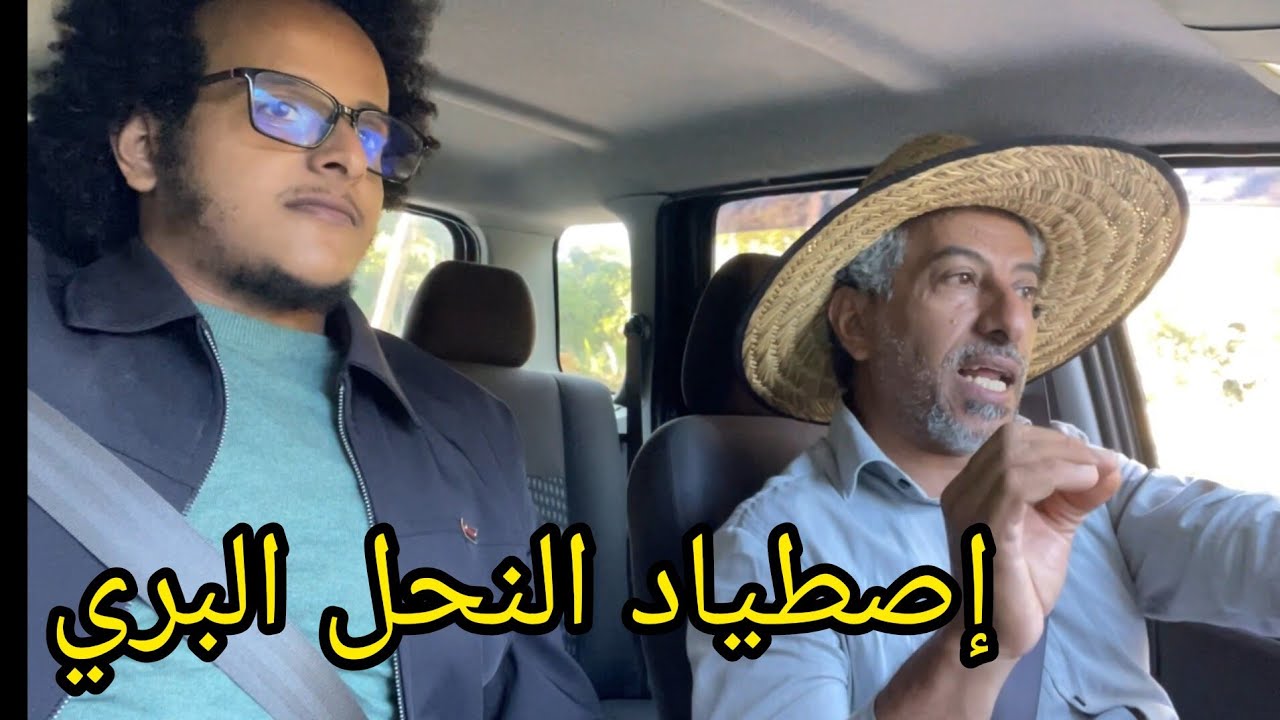 كيفية إصطياد خلايا النحل البري الغير لاسع 🐝