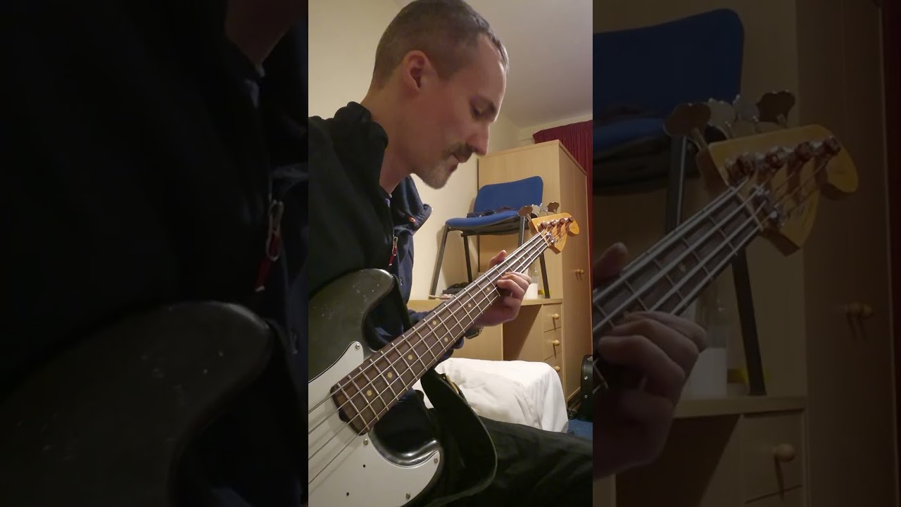Don't Damn Me - Guns N' Roses (Bass Cover)