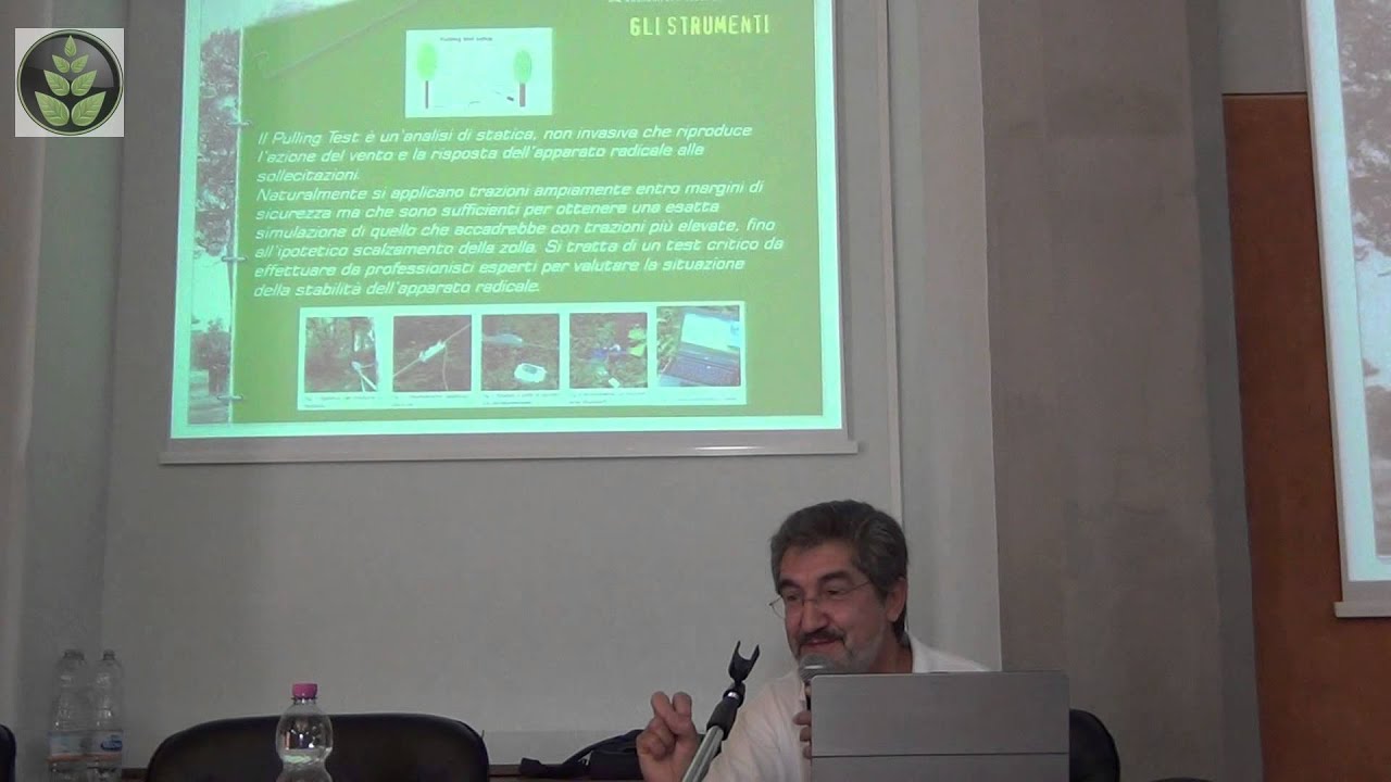 Metodologie di valutazione della stabilità degli alberi: aspetti tecnici e limiti
