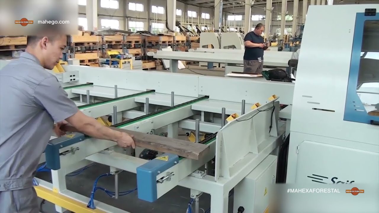 SIERRA TRONZADORA AUTOMÁTICA DE 24