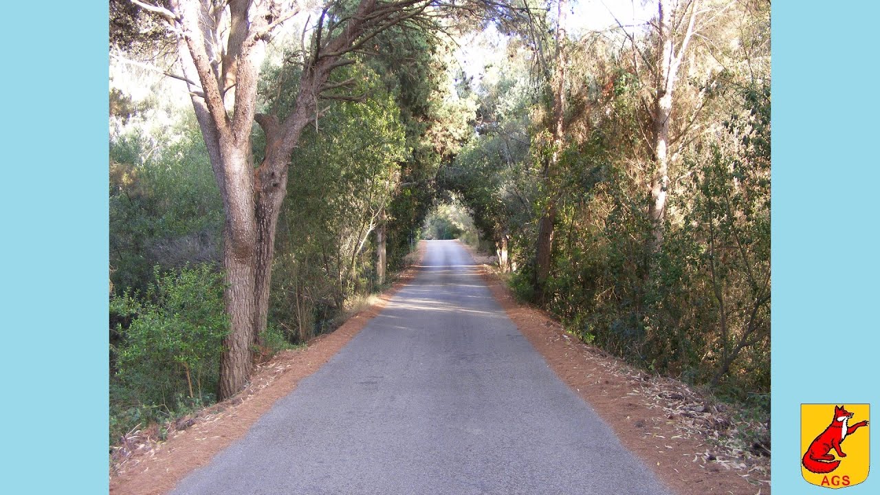 Escursione a Punta Licosa