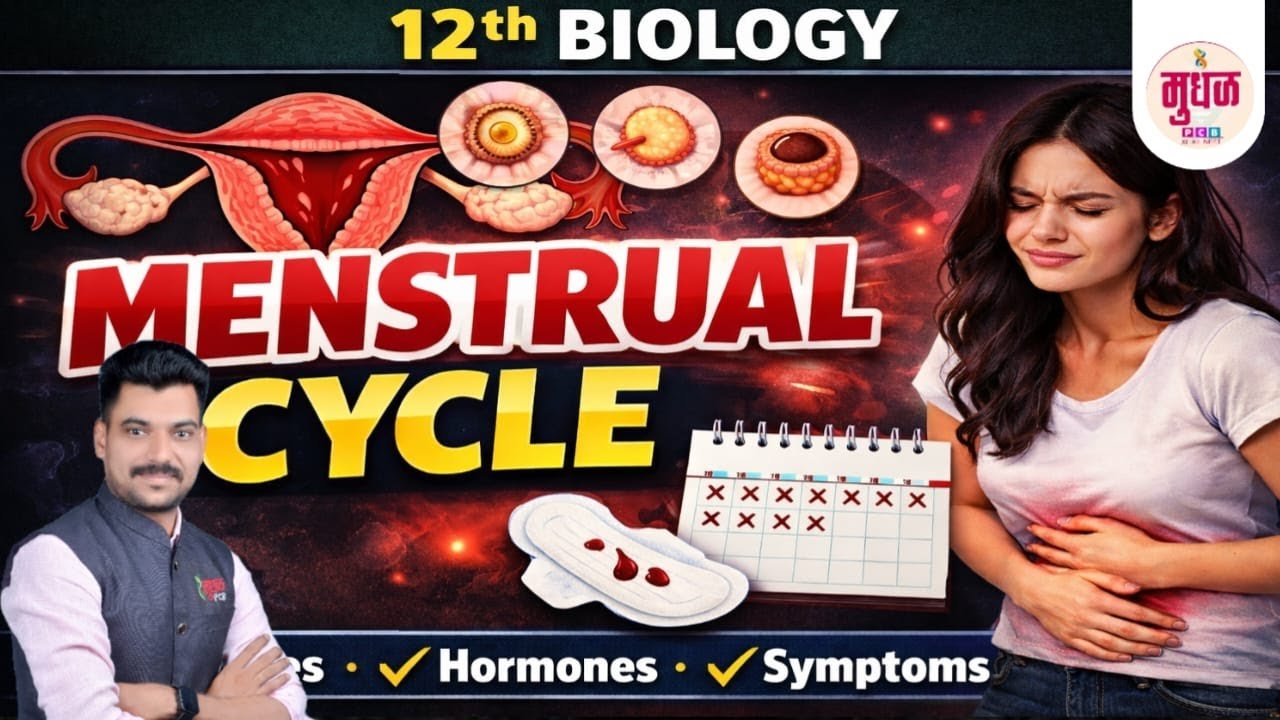 HUMAN REPRODUCTION -MENSTRUAL CYCLE class-12th biology