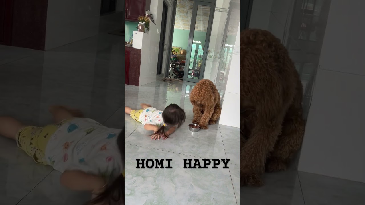 Chơi Homi v&agrave; happy #vonhat #giadinh #bangainhat #hoshiho #vietnhat #日越夫婦 #日越カップル