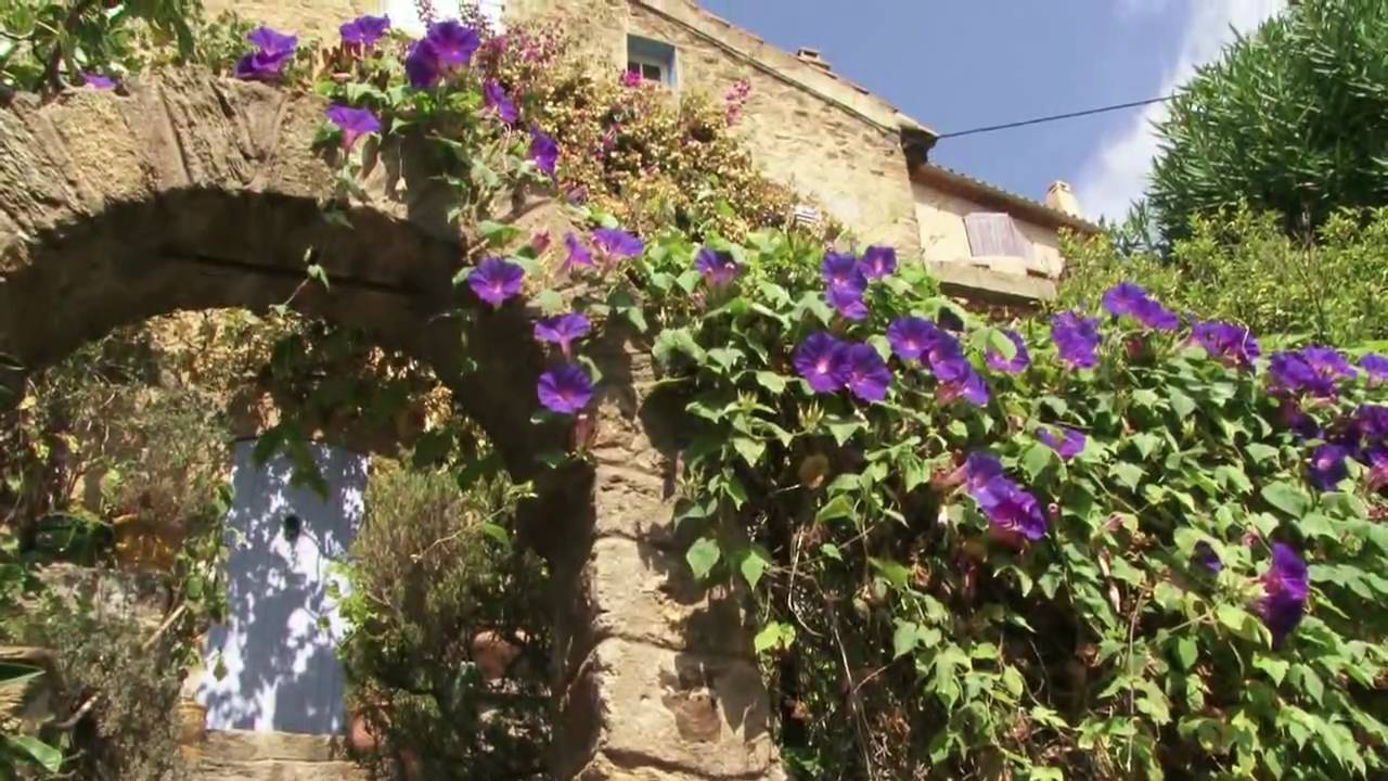 Côte d'Azur: Bormes-les-Mimosas