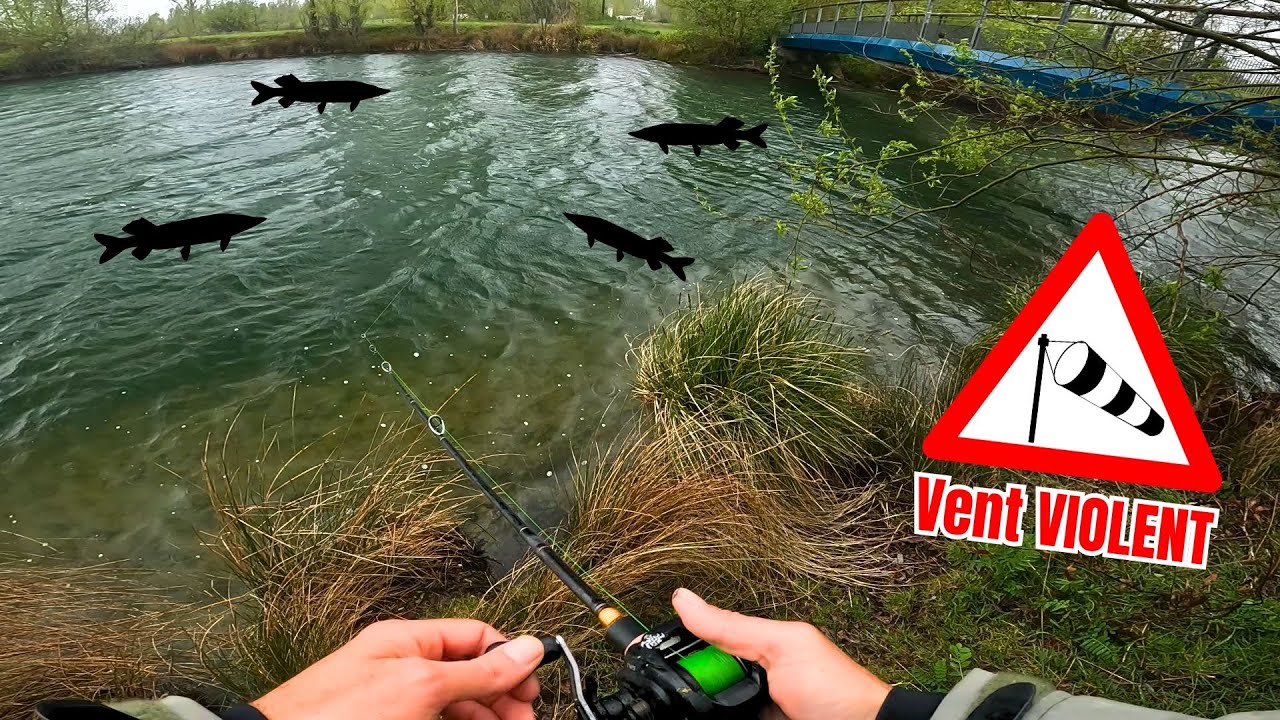 Je PÊCHE ce SPOT INFESTE de GROS BROCHETS en PLEINE TEMPÊTE 🐊