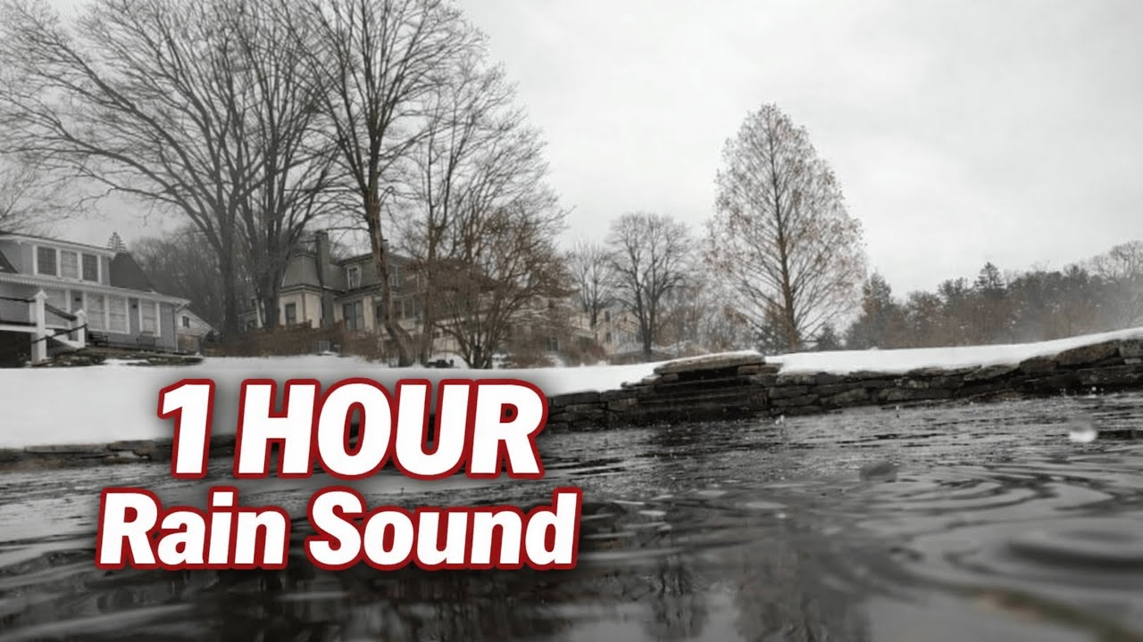 1 Hour Rain Sound #rainysounds  #rainsounds #winterrain #poolrain #relaxingrain #deepsleep #calm