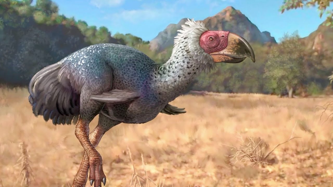 Oiseau Terreur - Le Descendant Géant Des Dinosaures  / Documentaire (Français/HD)