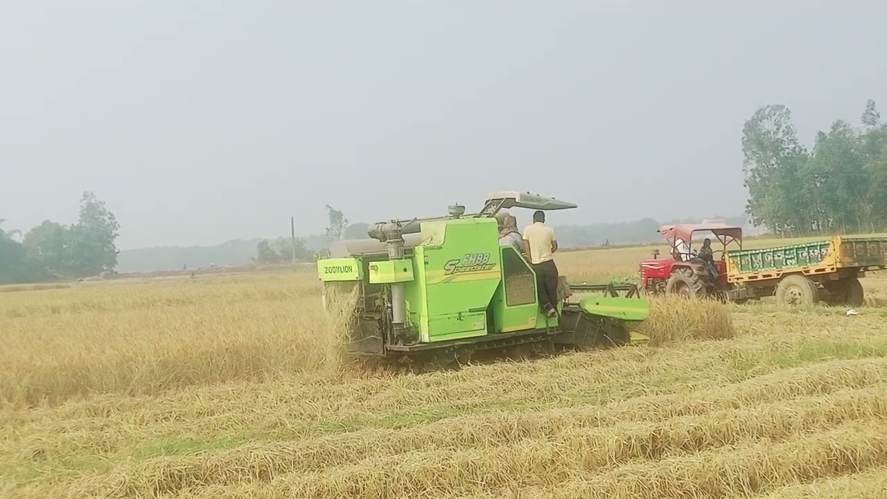 zoomlion rice hervestor😲😲😲
