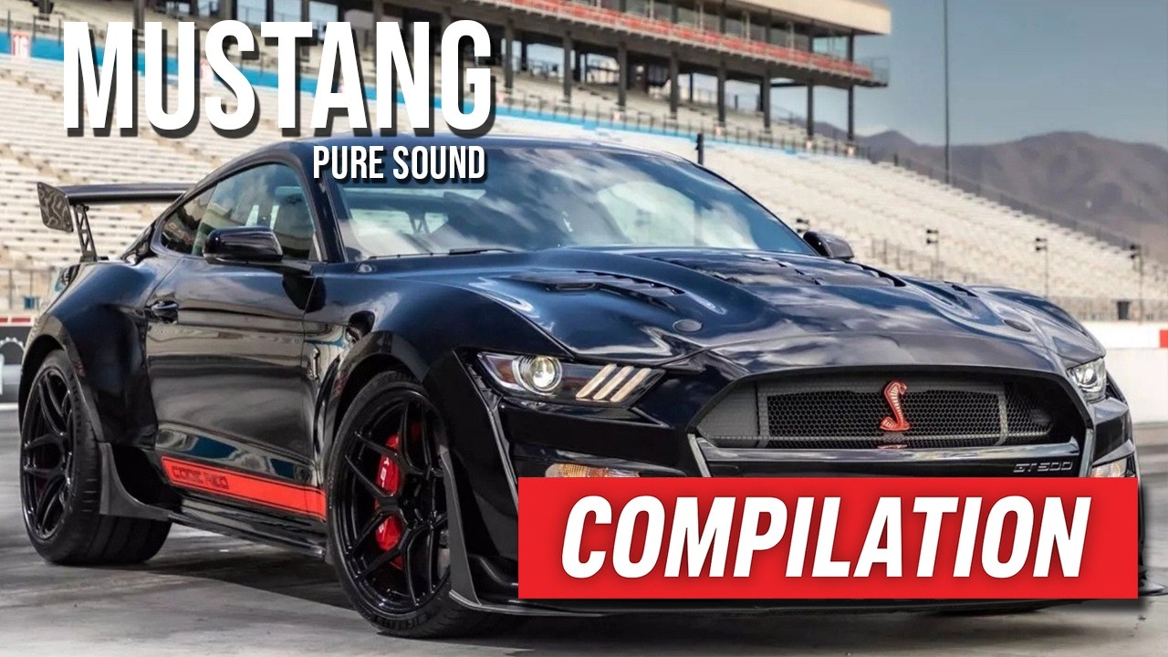 BEST MUSTANG COMPILATION 🔥 Pure Exhaust Sound | NO CRASH, Just Raw Power