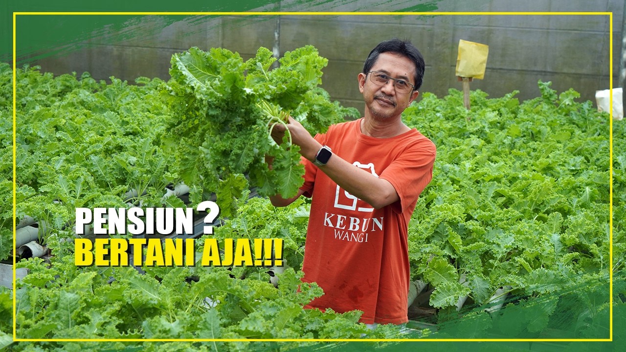 TETAP PRODUKTIF DIMASA PENSIUN, MANTAN PEGAWAI TELEKOMUNIKASI SUKSES BERTANI #ramadanwithyoutube