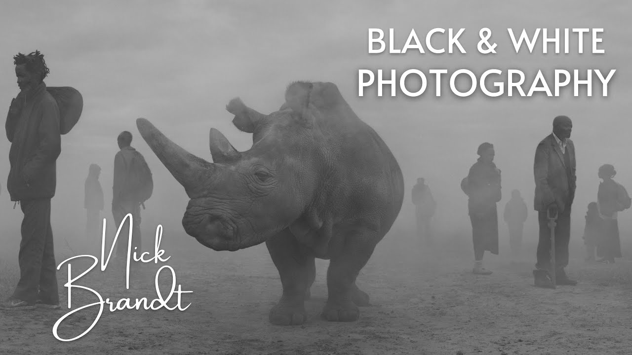 Black and White Photography - 