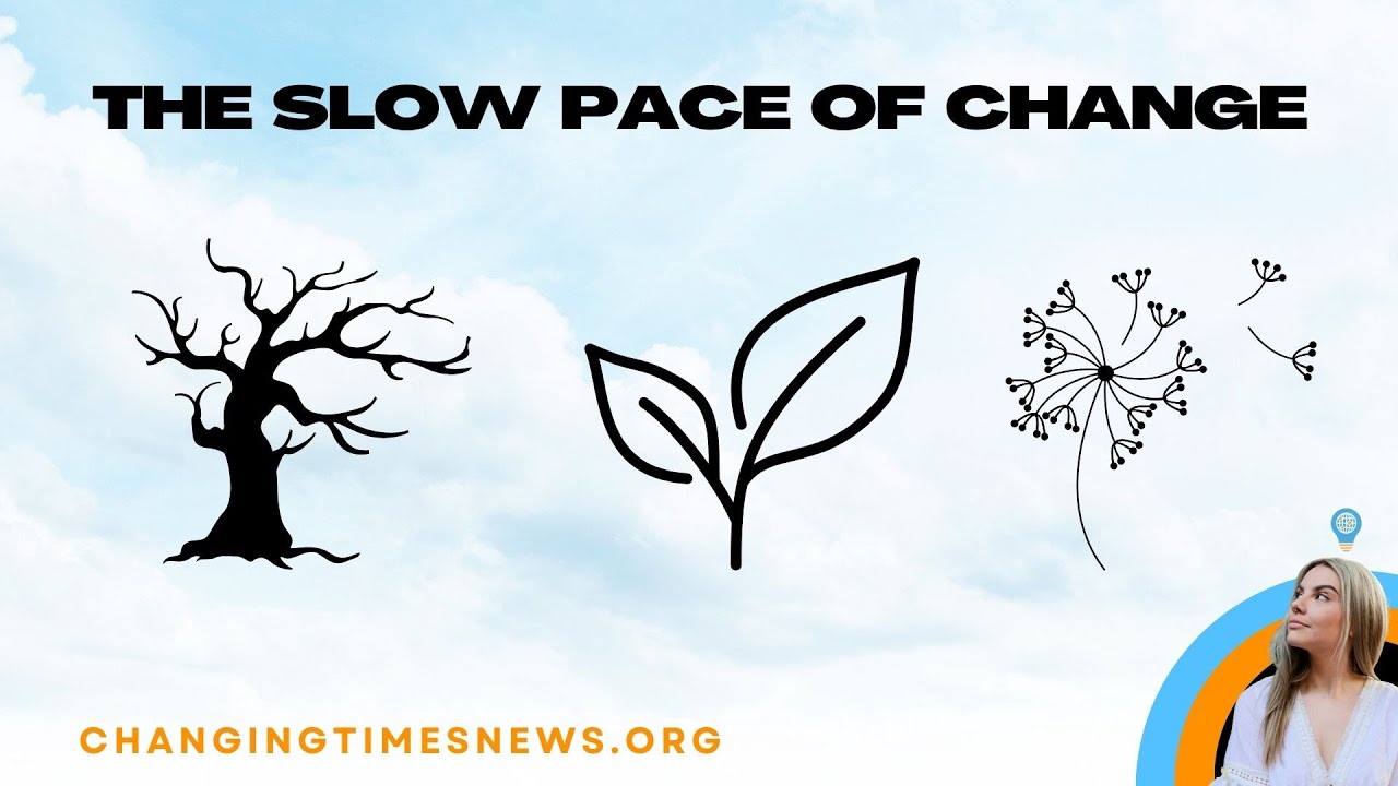 Why Social Change Is (and Should Be) Slow | Changemaker Q&A 🎙️