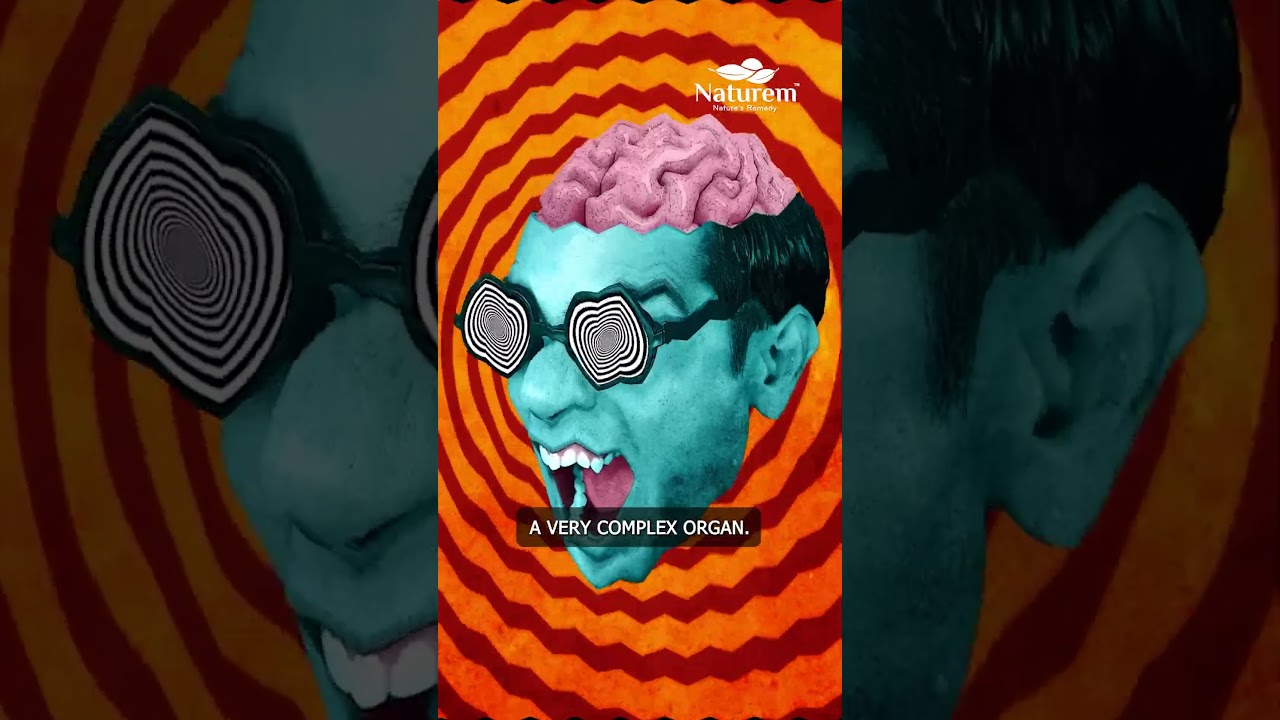 Left Brain vs. Right Brain: The Truth About the Myth | Naturem™ Memory+