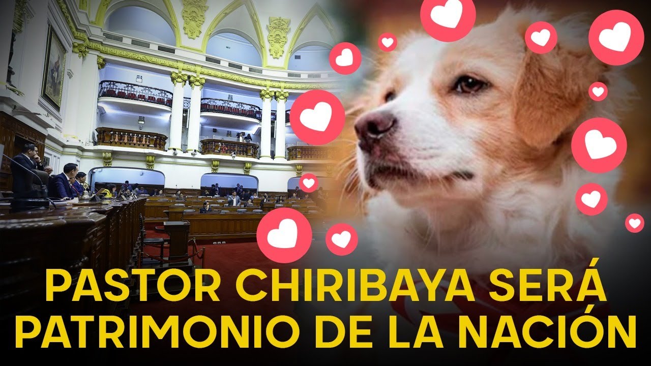 Pastor Chiribaya CONQUISTA a todos en el Congreso | Perro peruano será Patrimonio Cultural