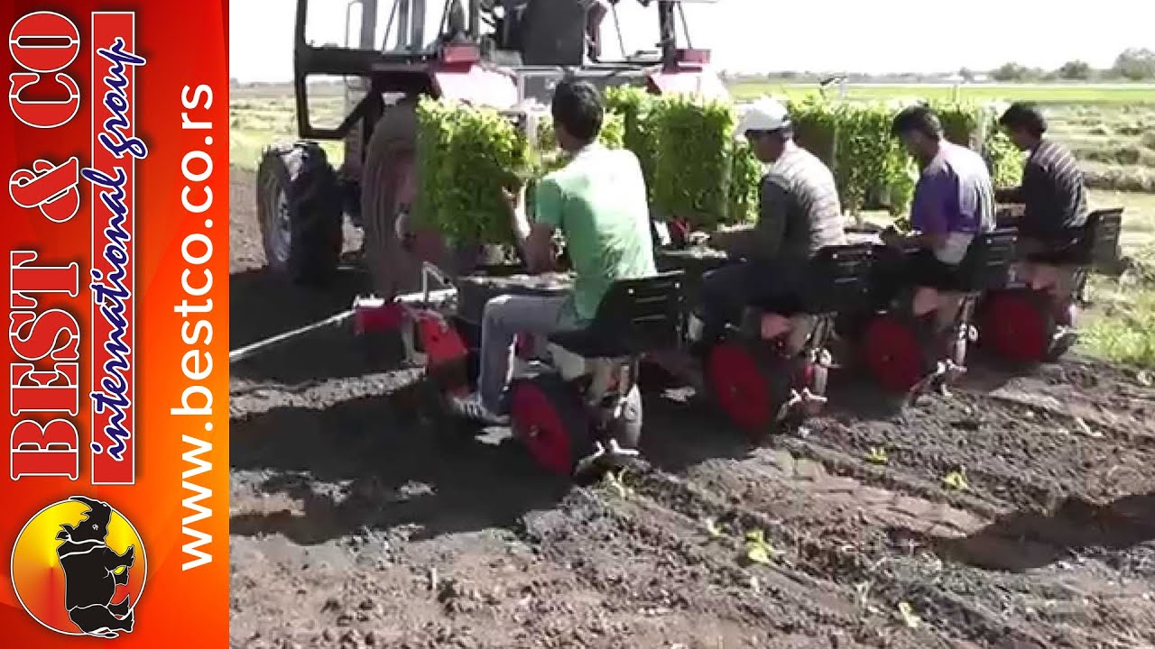 Sadnja rasada - Spapperi vegetable transplanter