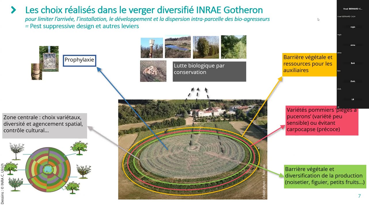 Webinaire 