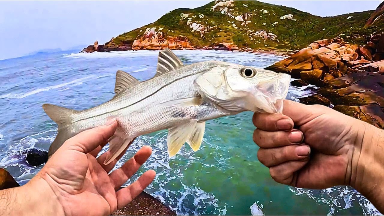 Pescaria Surpreendente no Costão: Várias Espécies com Iscas Naturais!