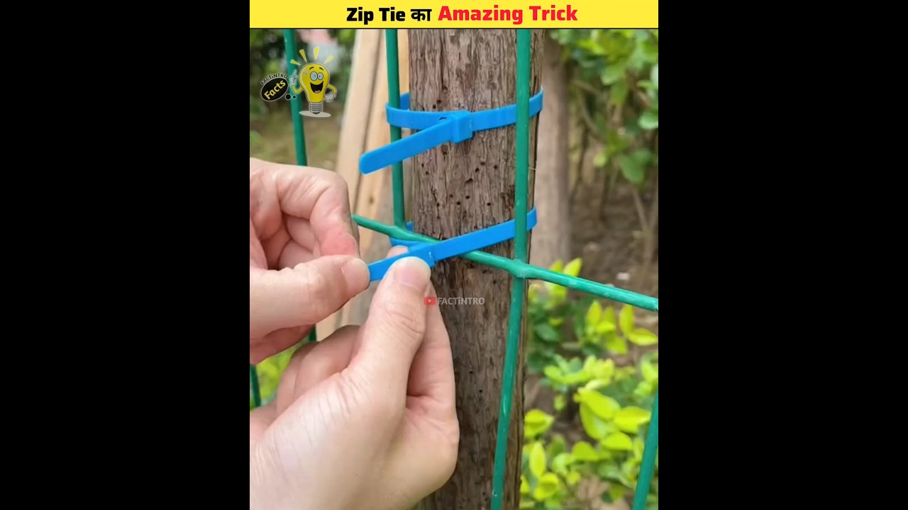 Don&rsquo;t Cut Zip Ties | #shorts
