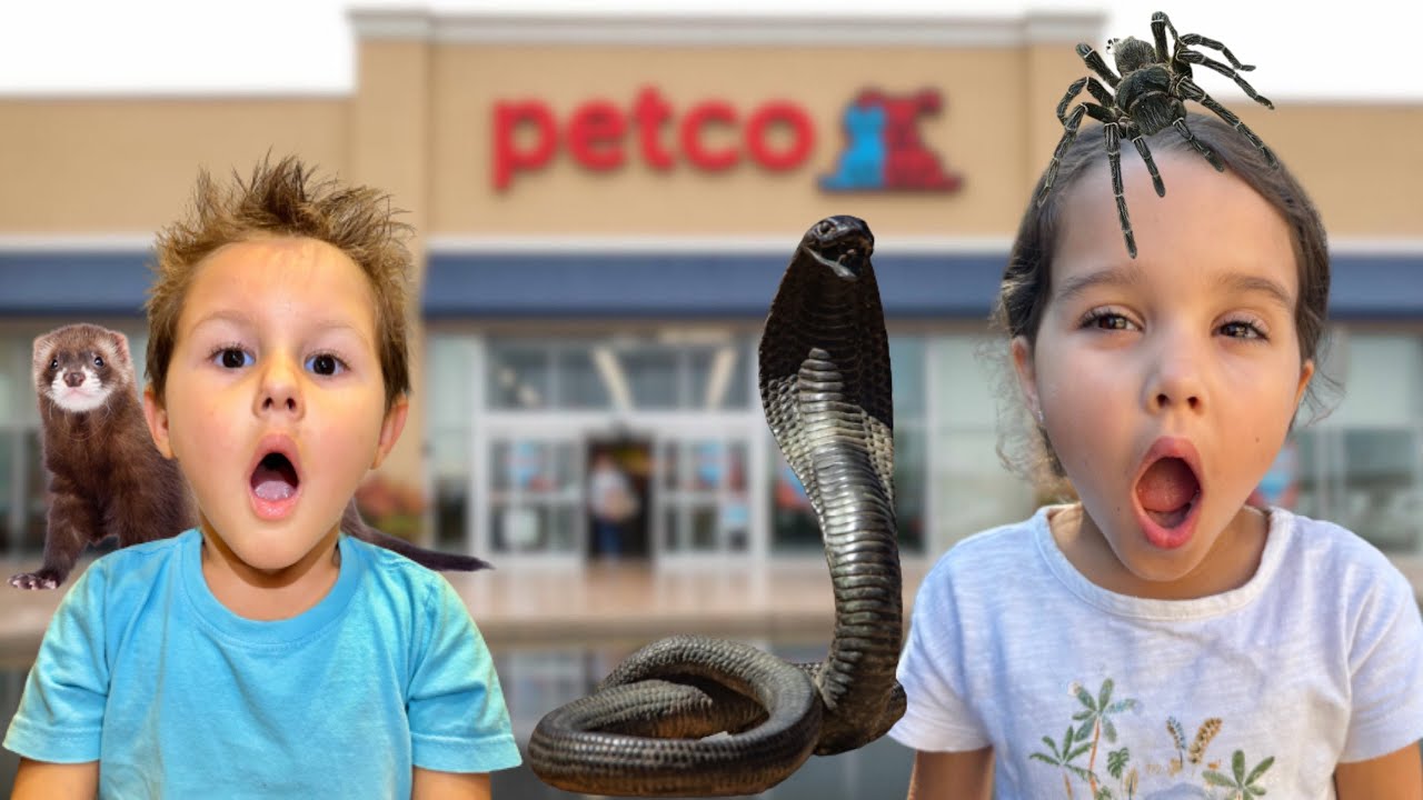 FOMOS EM UM PET SHOP NOS ESTADOS UNIDOS - Família Madune