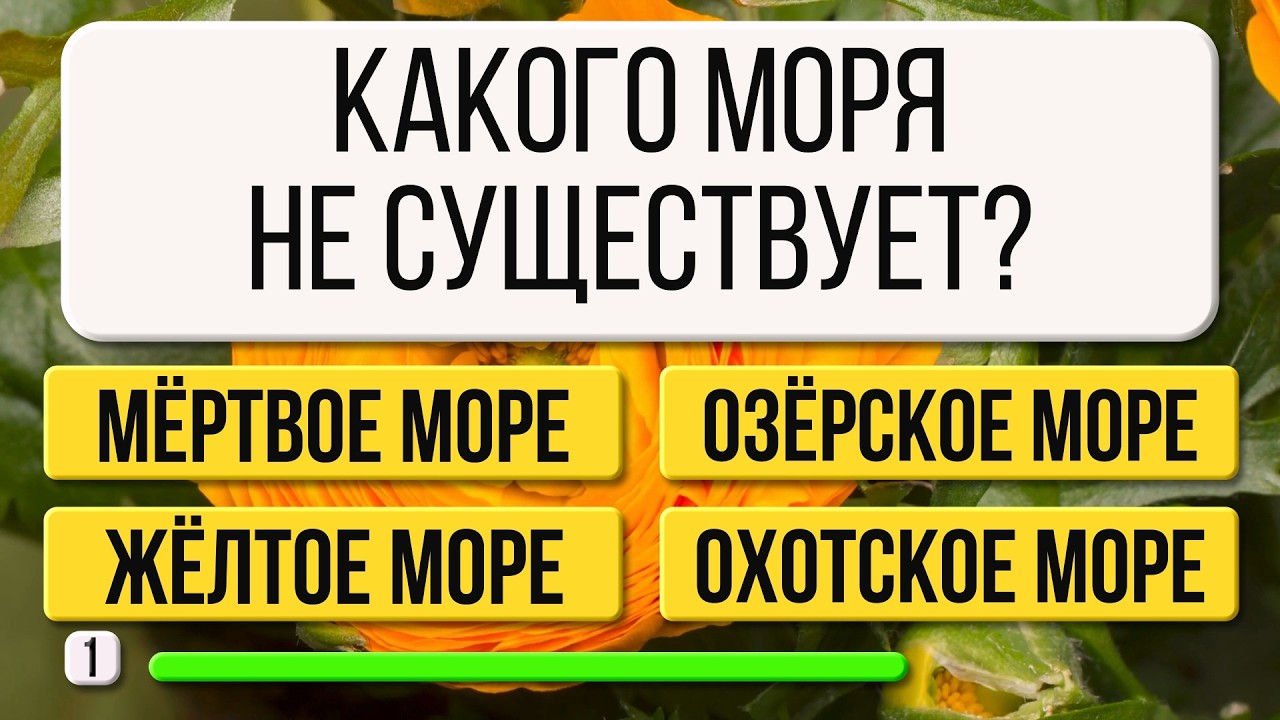 Только 1 из 100 Ответит на 10/25! Проверь Свой Ум | Каверзные Вопросы
