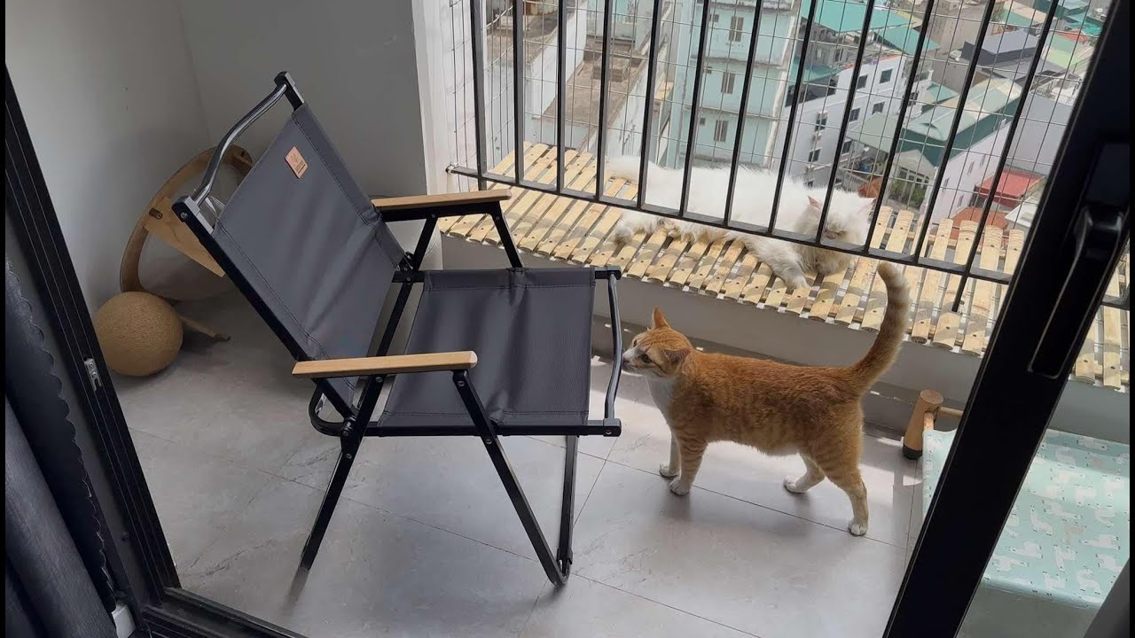 🪑🏖️☀️ Comfortable balcony chair. 