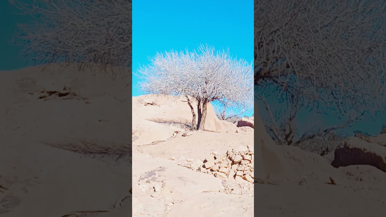 جبل حاسي بحبح😘
