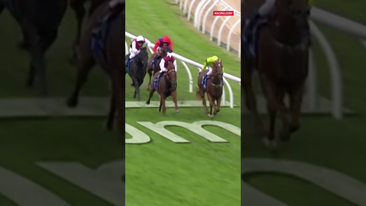 Sepoy was an absolute jet & he destroyed his rivals in the 2011 Blue Diamond Stakes! 🔥
