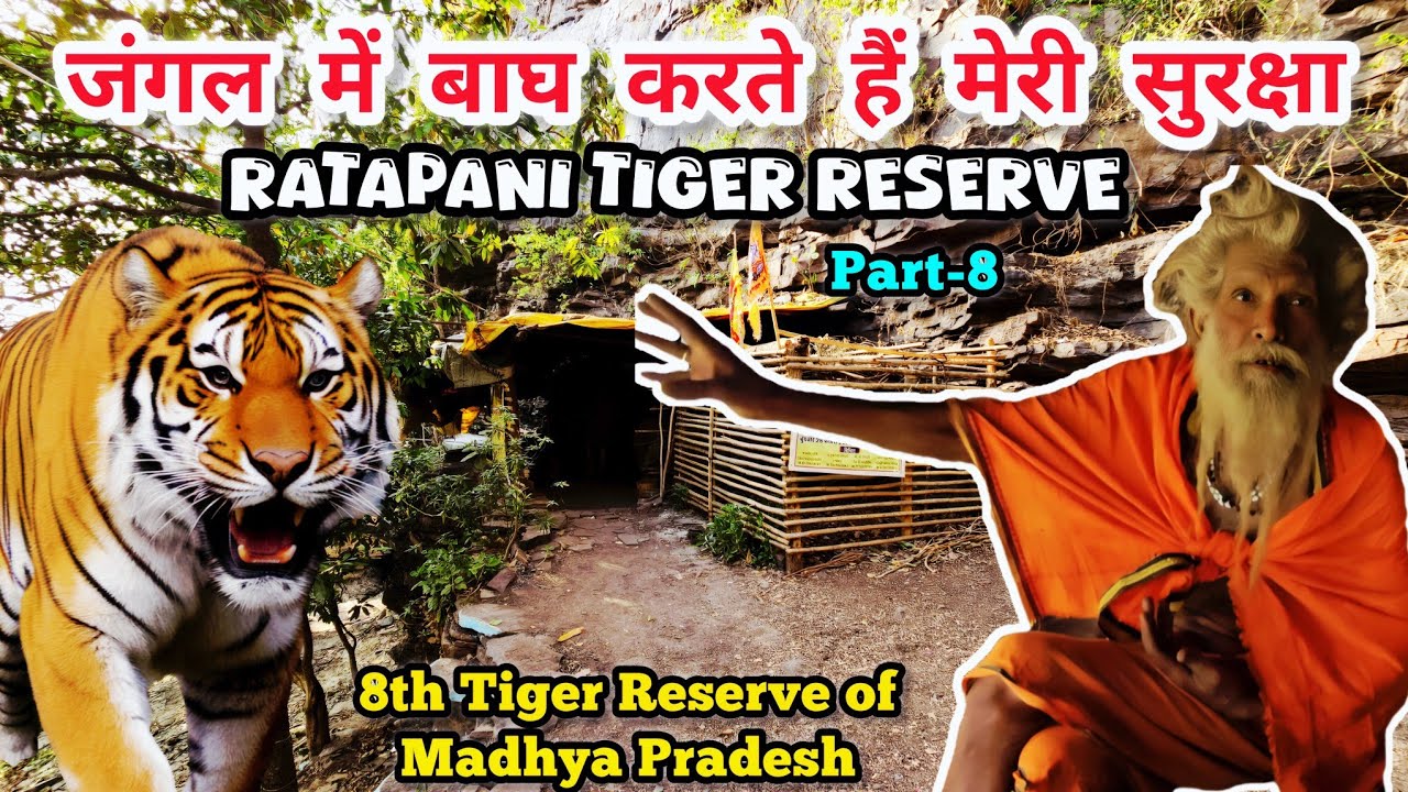 Ratapani Tiger Reserve | जंगली जानवर करते हैं बाबा जी की सुरक्षा | Jungle Safari Ratapani | Part-8