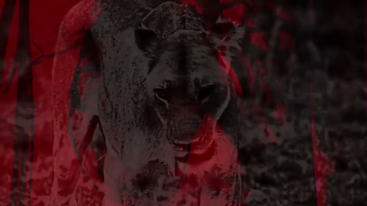 PLASTIKSTROM feat. DIAF  -  "atmen"  (official video)