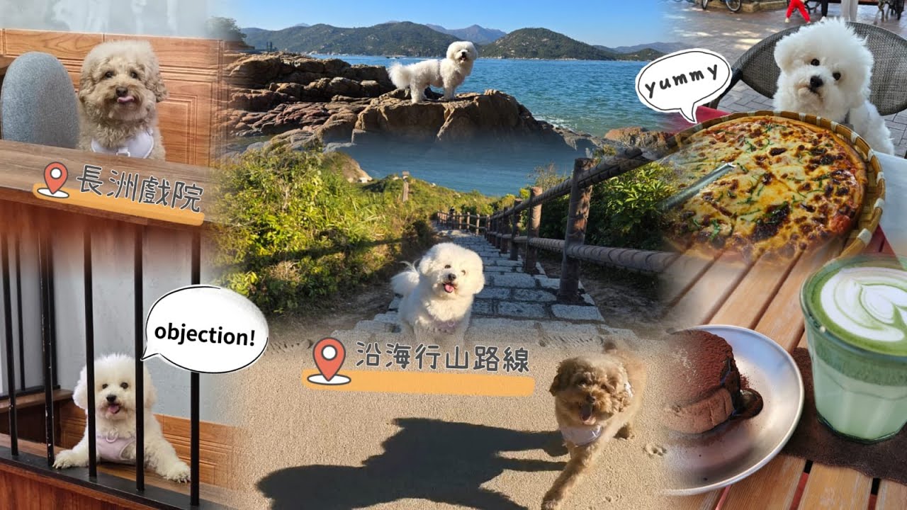 「長洲」狗狗好去處｜好玩又好笑的新景點｜輕鬆沿海行山路線【小腳掌大世界🐾】