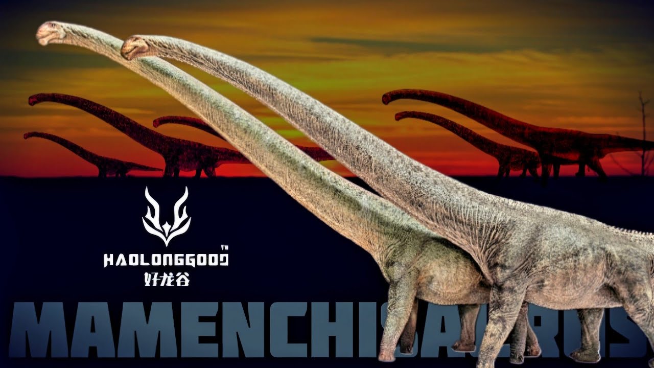 Haolonggood 1:35 Mamenchisaurus Review!!! Two versions!!!