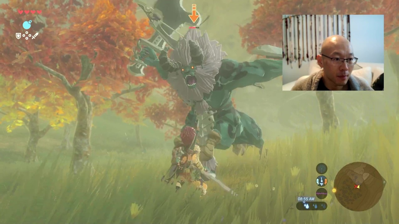 Zelda: Breath of the Wild (Switch 2) - Playthrough Part 7 Barbarian Helm And Starting Zora