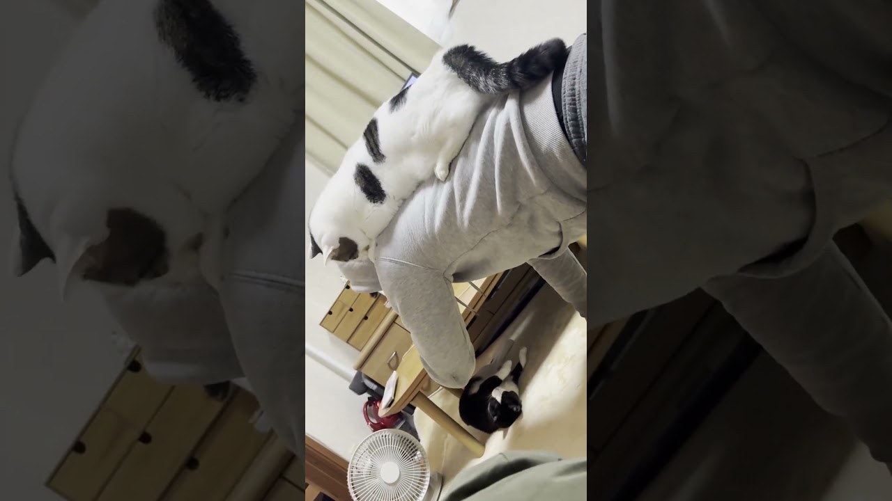 おい、前に進むのだ